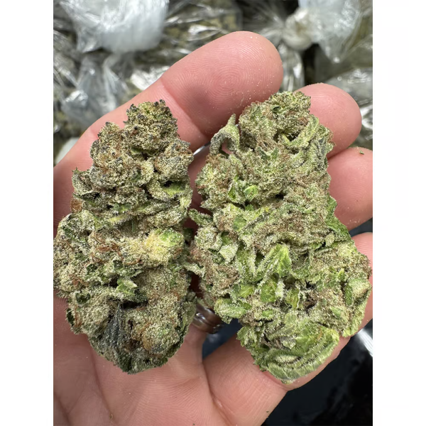Gelato Punch - Image 3