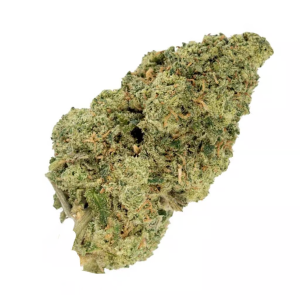 Kush Mintz
