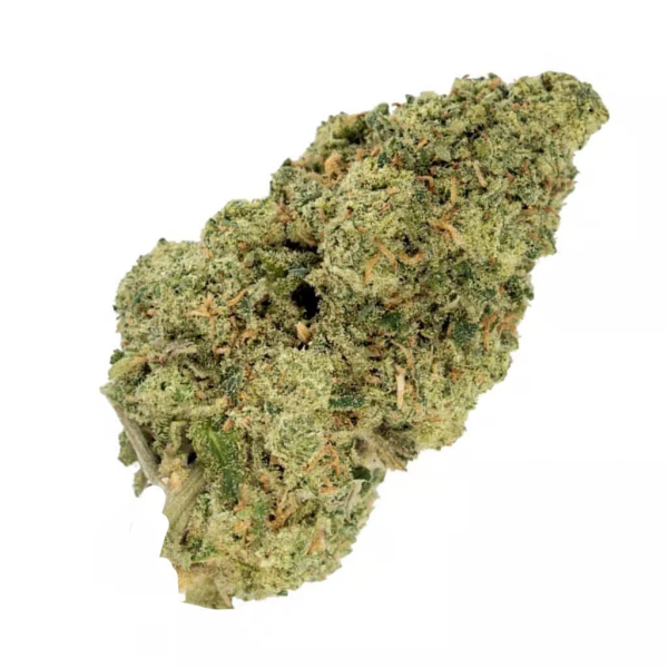 Kush Mintz